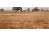 Commercial Land for Sale in Telangana